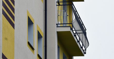 Wyrzucił psa z balkonu na 8. piętrze. Sąd złagodził jego wyrok