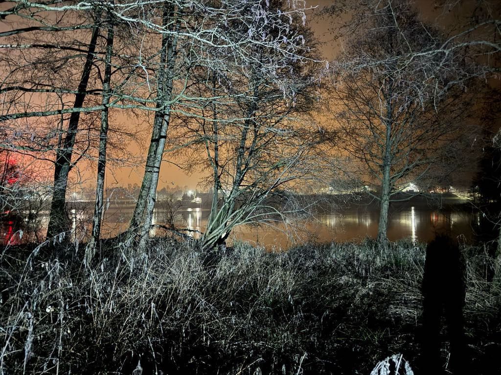 Działka podmokła i zarośnięta.