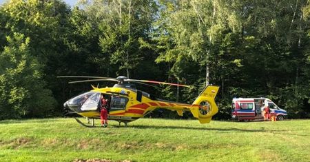 Wypadek w Zagórzu. Konar drzewa spadł na głowę dziecka