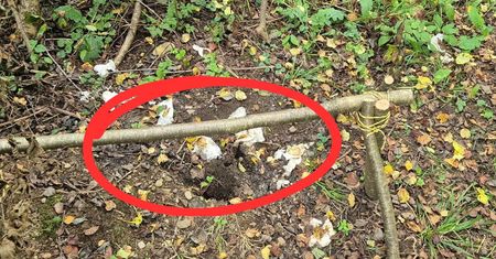 Takie "pamiątki" zostawili w Bieszczadach. Mieszkańcy reagują