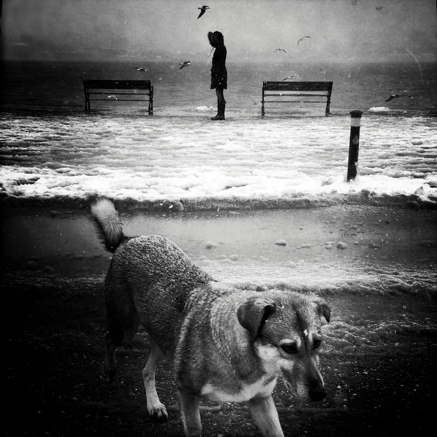 Street Photography Awards 2019 – najlepsze zdjęcia uliczne według Lensculture 2