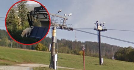 Oburzające nagranie z Zakopanego obiegło Polskę. Co robi prokuratura?