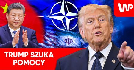 Problemy z Cieśniną Ormuz. Trump ostrzega NATO. "Słabe przywództwo"