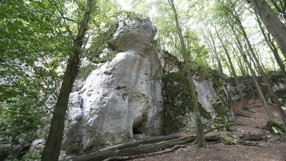 Zamek „Ostrężnik” w rezerwacie przyrody