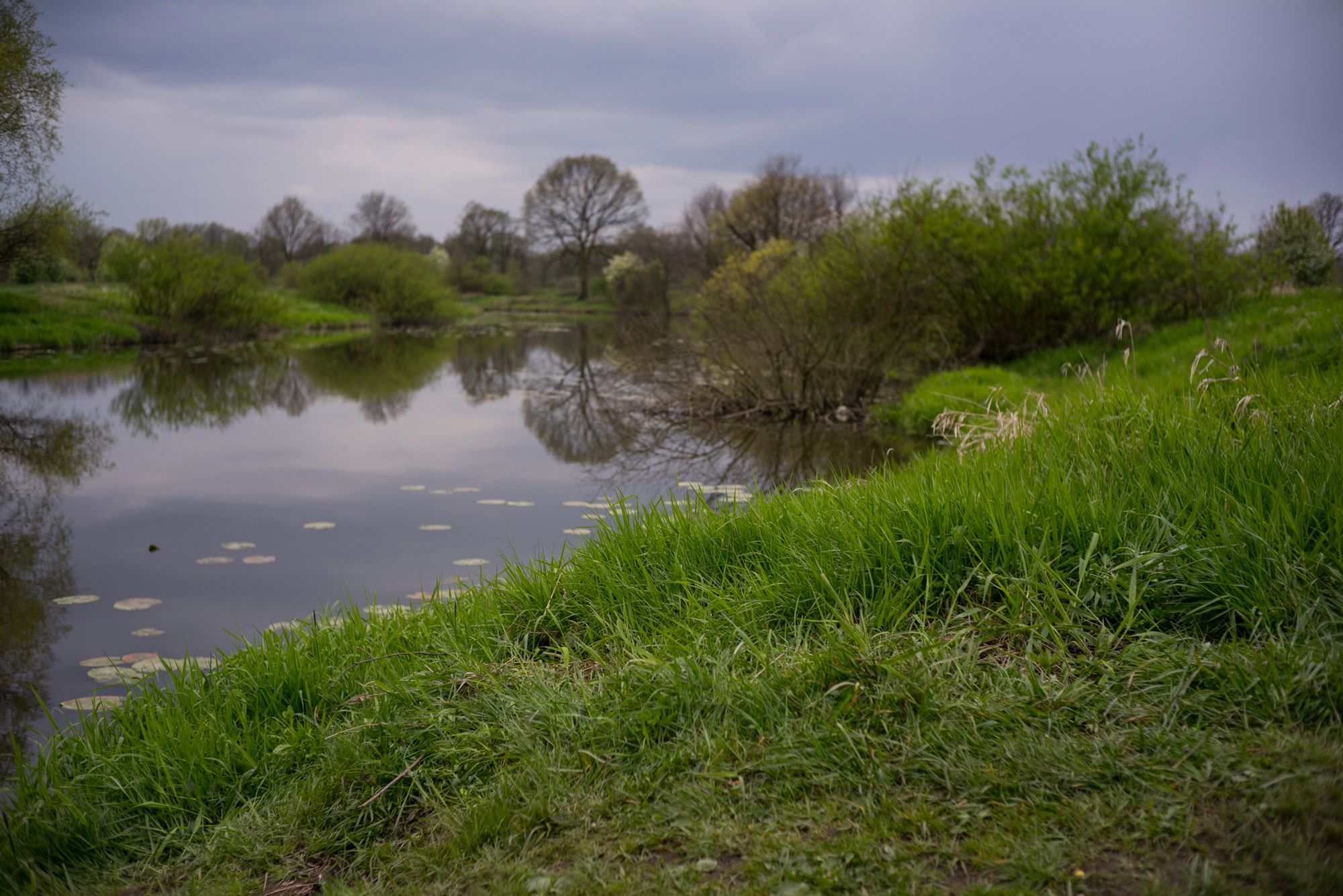 Apoteoza czterdziestu milimetrów, czyli Voigtländer Nokton 40 mm f/1,4 Classic 43