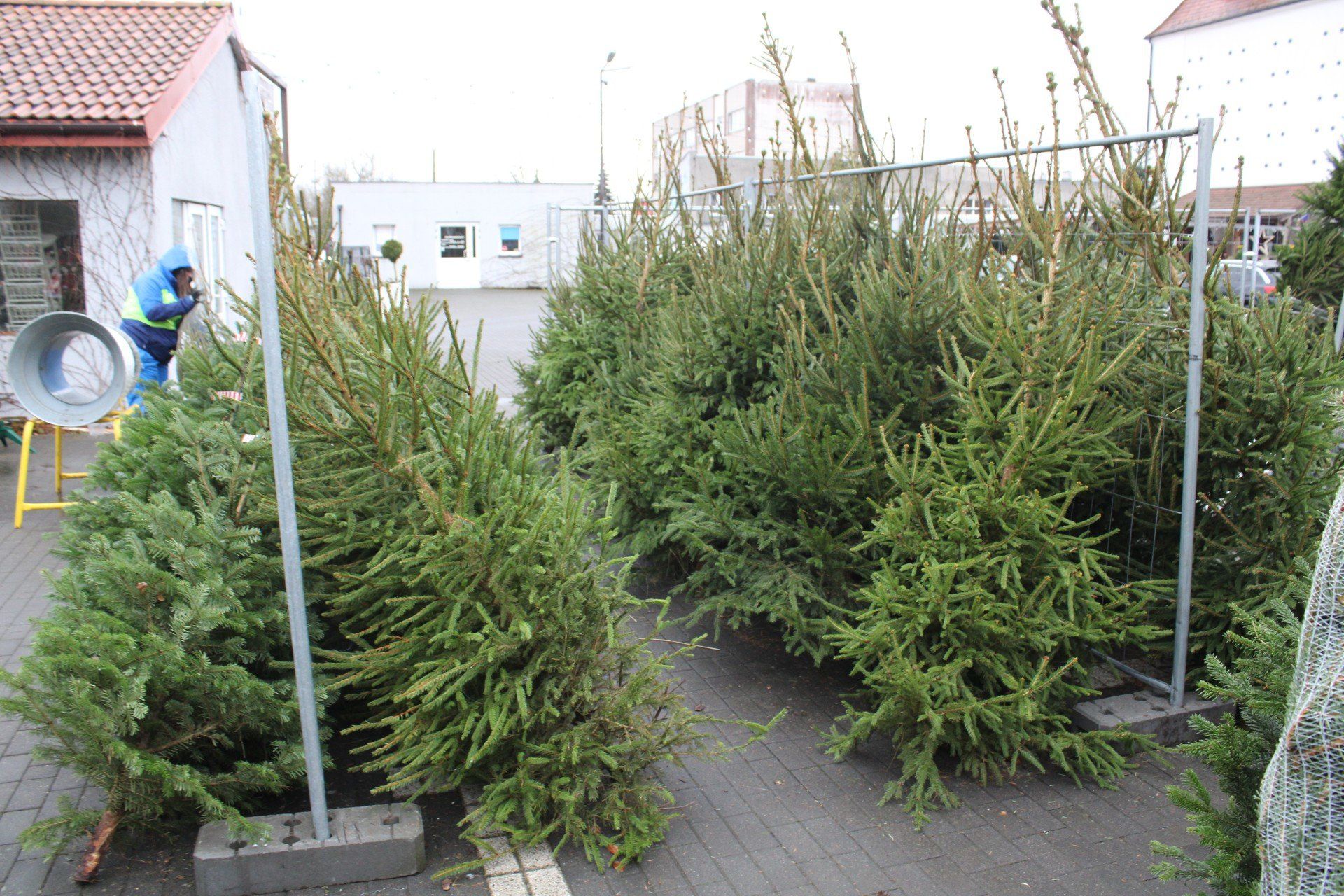 Miejskie stoiska to wygodniejsza, ale nieco droższa opcja