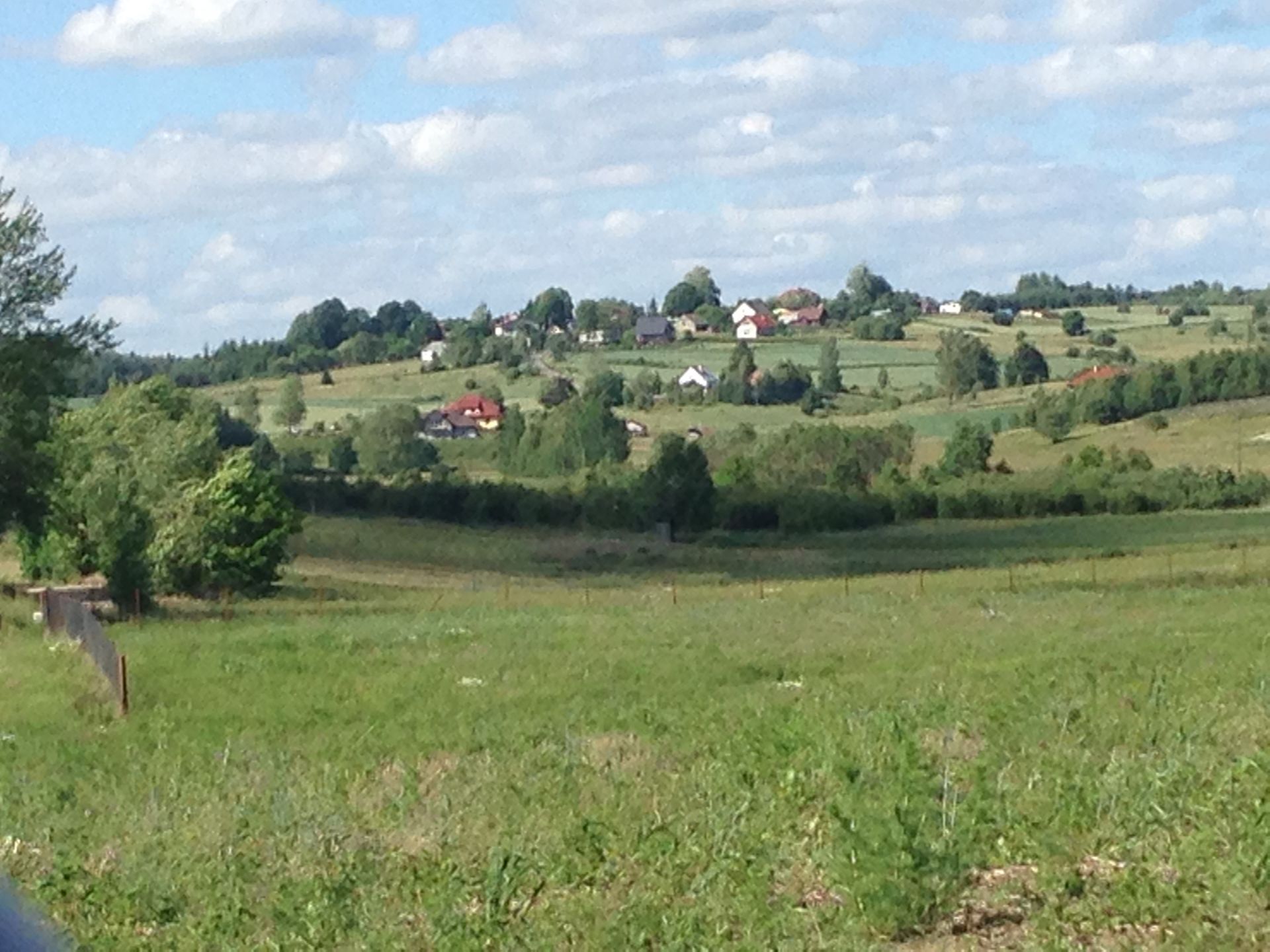 Foto von Błotnia