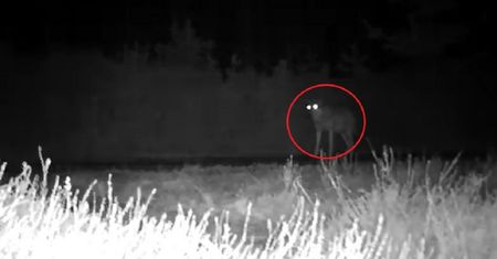 Groza na Podkarpaciu. Wójt prosi o ostrożność