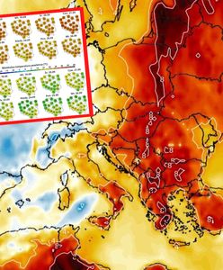 Zmiana za zmianą. Nowa prognoza długoterminowa