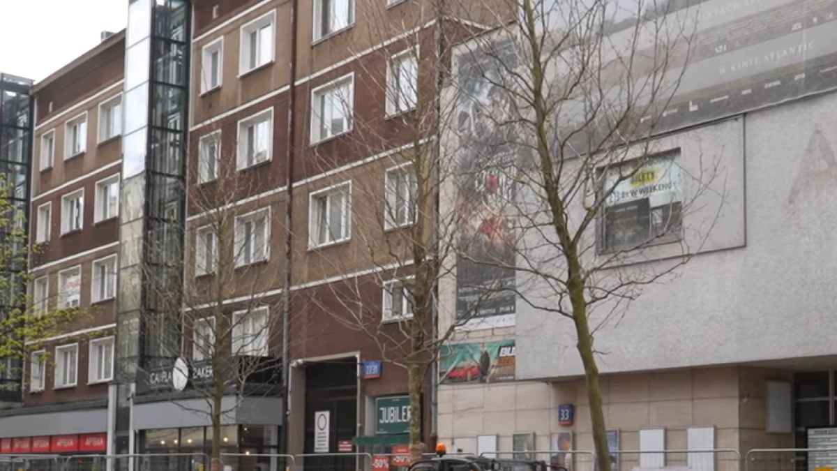 Nasadzenia na Chmielnej w Warszawie