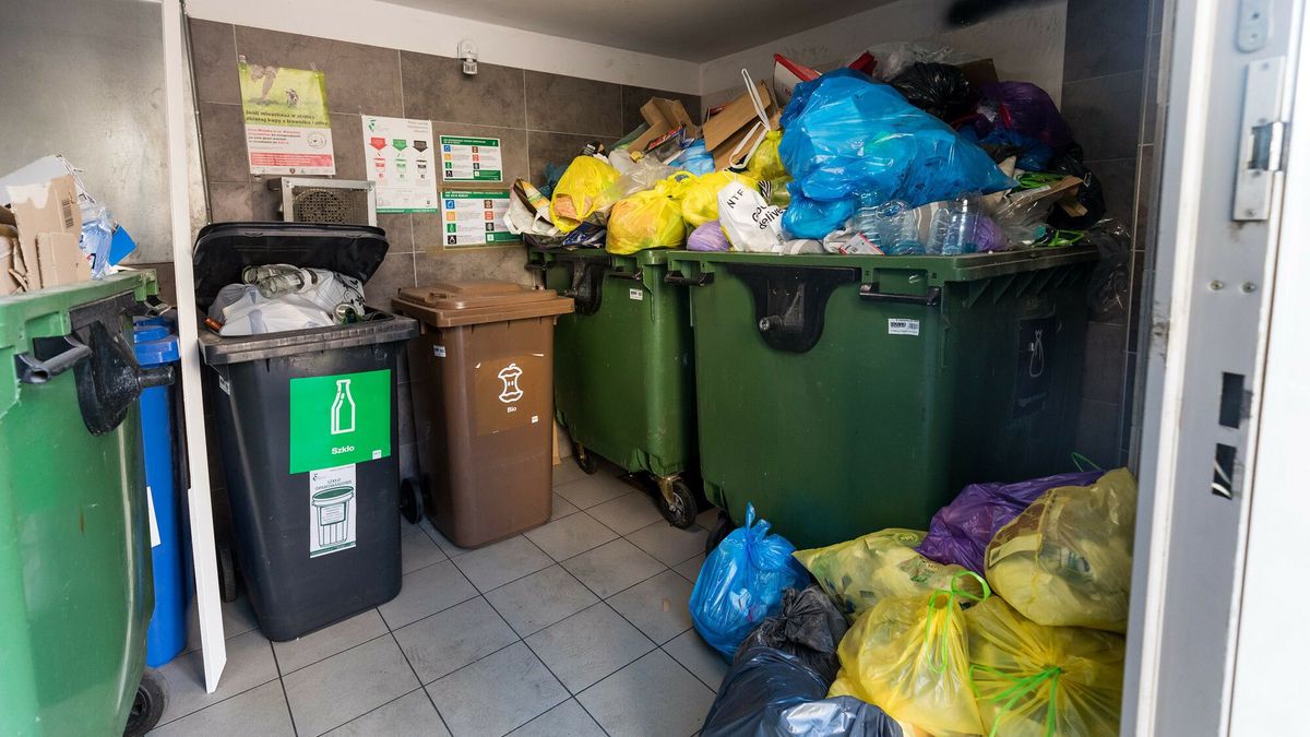 Duże zmiany w naliczaniu opłat za śmieci. Rząd szykuje rewolucję