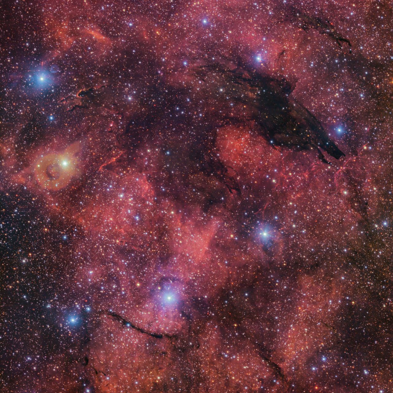 Dark Wolf Nebula: cosmic silhouette unveiled for Halloween