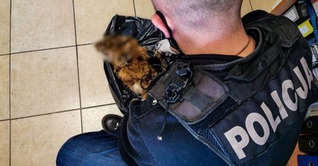 Policjanci znaleźli futro w zamrażarce. 47-latek usłyszał zarzuty