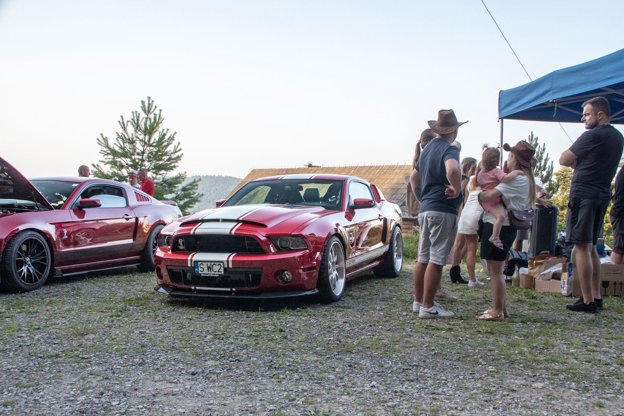 Małopolski & Śląski Zlot Mustangów 2024