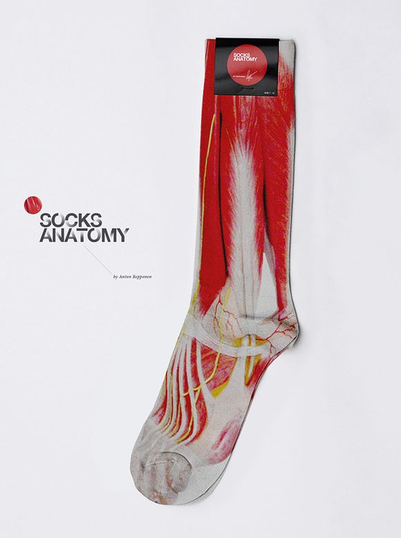 Anatomy Socks