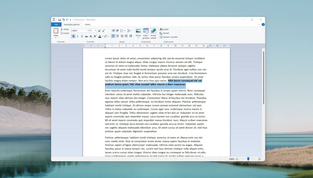 WordPad zniknie z Windows 11. Nie doinstalujesz go