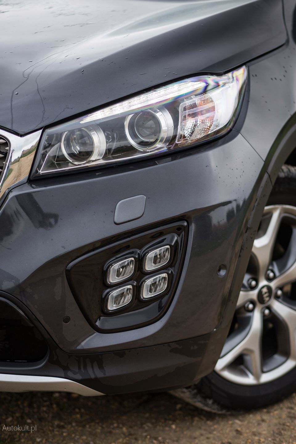 Kia Sorento 2.0 4WD AT XL (2017) (fot. Mateusz Żuchowski)