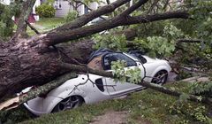 Gdy jesienna wichura powali na auto drzewo