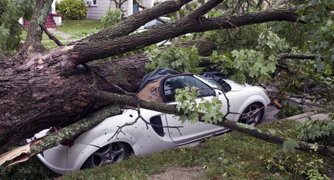 Gdy jesienna wichura powali na auto drzewo