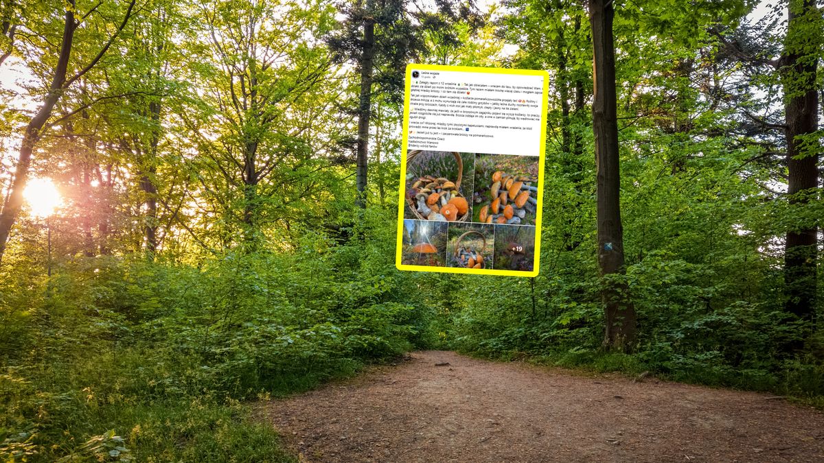 Pokazała efekt grzybobrania.