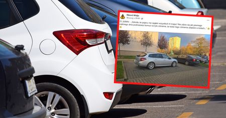 "Pajacu". Puściły mu hamulce, od razu chwycił za telefon