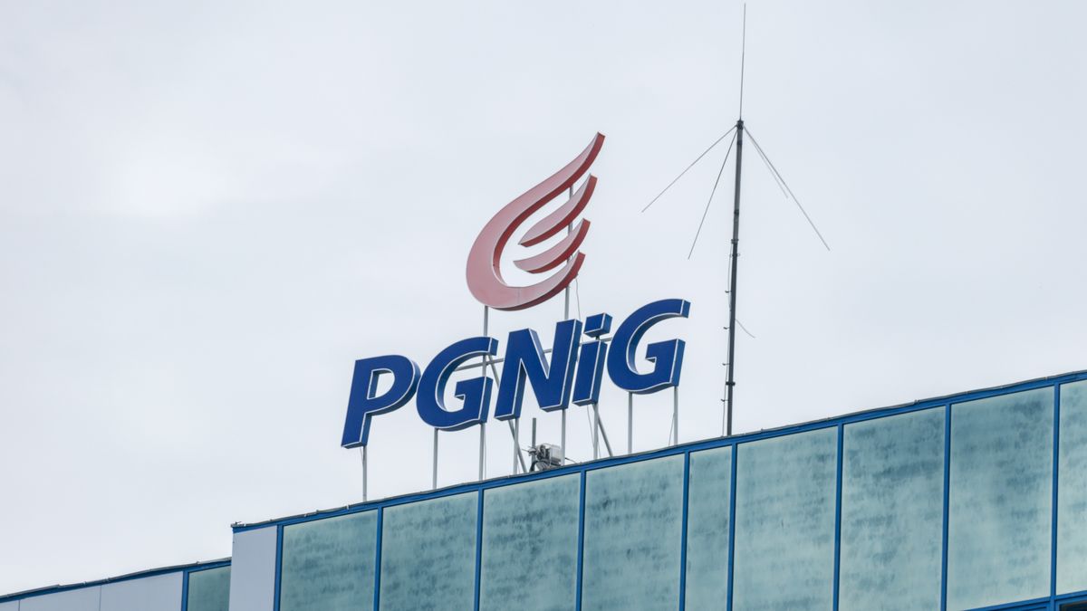 Na zdjęciu logo PGNiG