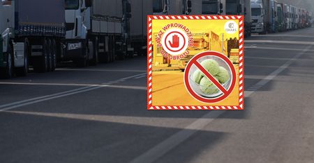 12 ton lodów zatrzymanych na granicy. Musiały wrócić do Ukrainy