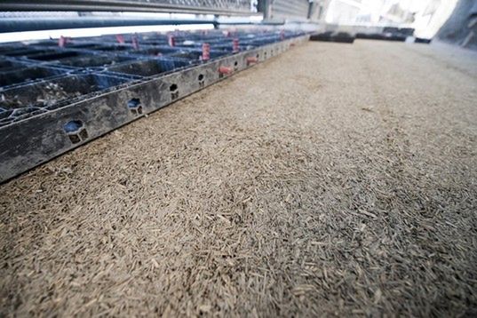 Ściany z konopi - ekologiczne i 7 razy mocniejsze od betonu 2