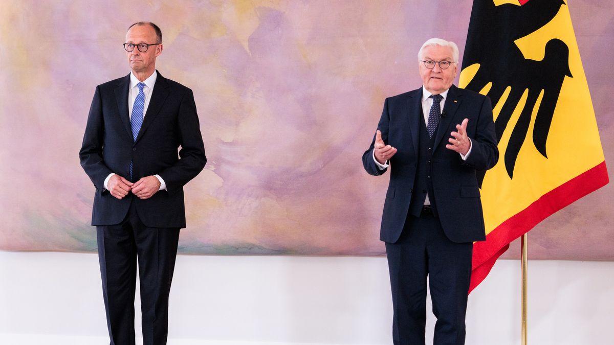 Friedrich Merz, Frank-Walter Steinmeier 