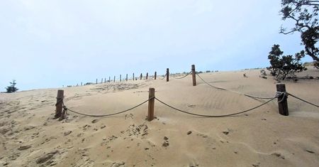 Hit lata 2026. Polska Sahara. Ruchome wydmy nad Bałtykiem