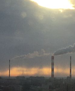Warszawa. Dziki szał przyrody. Konkurs dla łowców zmian klimatycznych