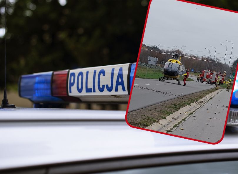 Wypadek w lesie. Gałąź spadła na mężczyznę