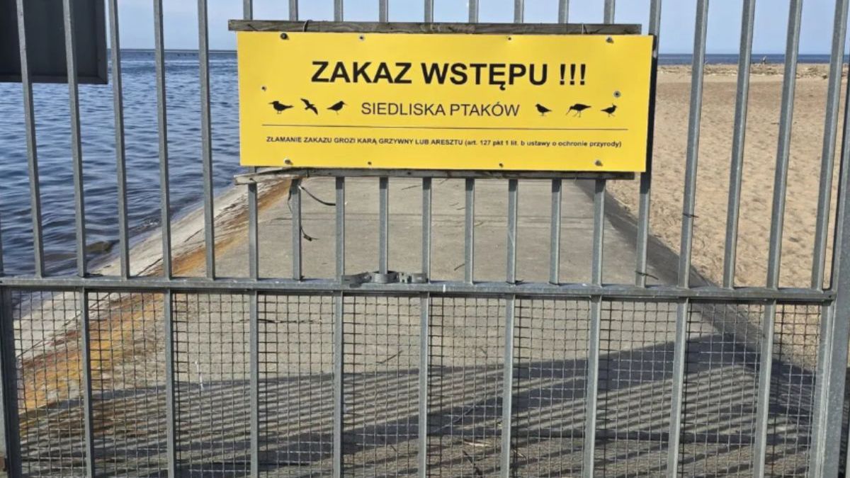 Zlekceważyli zakaz wstępu. Posypały się mandaty.