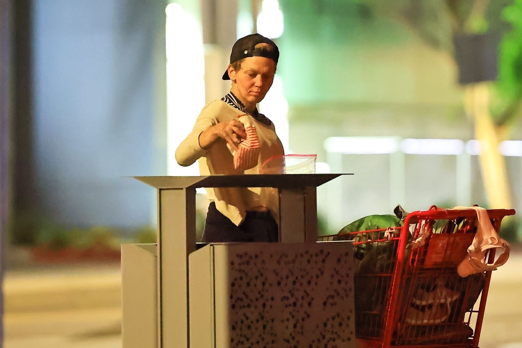 Loni Willison przeszukuje kubły na śmieci