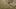 421292637774239560