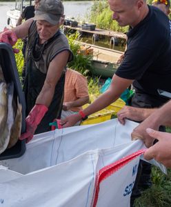 Tak państwo nie zadziałało. Kto zaspał przy katastrofie w Odrze? [ANALIZA]