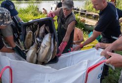 Tak państwo nie zadziałało. Kto zaspał przy katastrofie w Odrze? [ANALIZA]