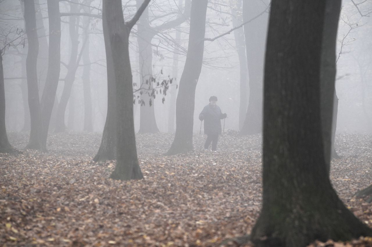 Wrocław. Pogoda. 10 listopada - coraz chłodniej. Jest nadzieja na cieplejszy koniec tygodnia