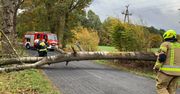 Wichury przechodzą przez cały nasz region. Wiele interwencji strażaków