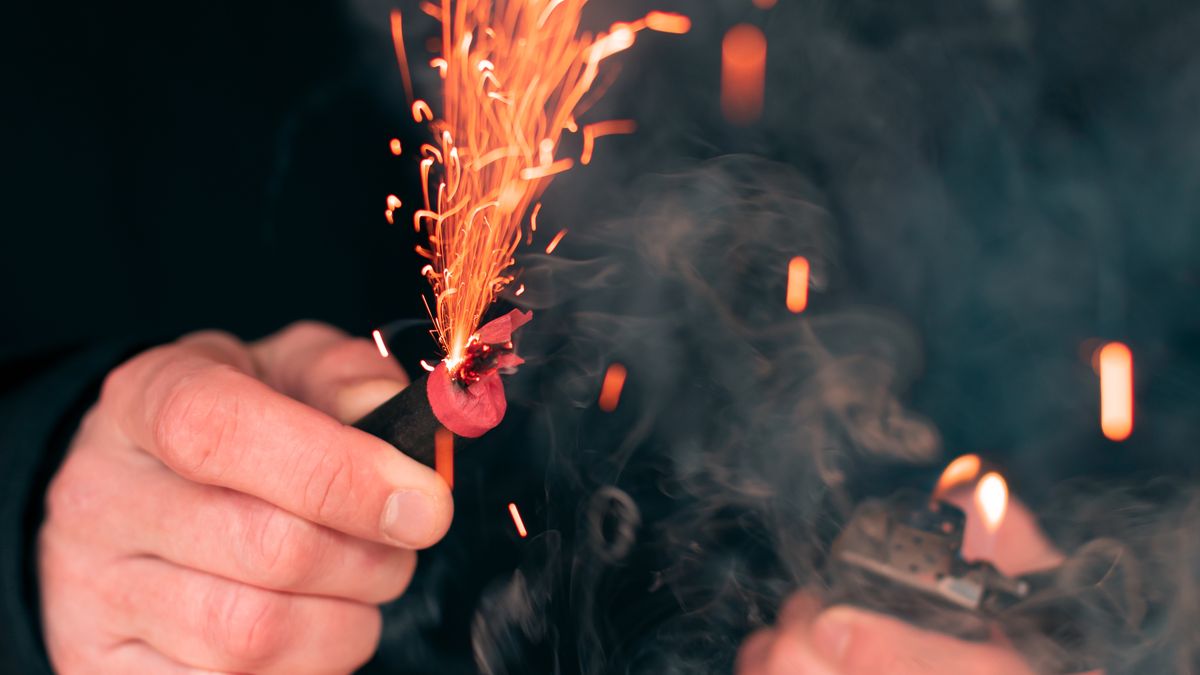 Padło trzech podopiecznych fundacji. Zdjęcie ilustracyjne