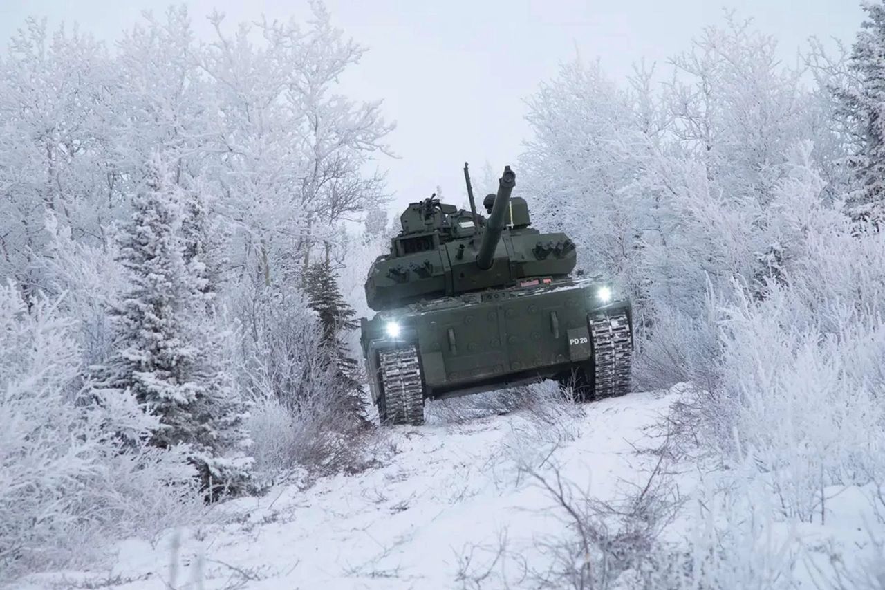 Podstawowym uzbrojeniem M10 jest działo czołgowe M35 kal. 105 mm o niskim odrzucie i zamontowany współosiowo karabin maszynowy kal. 7,62 mm, a także wielkokalibrowy karabin maszynowy M2 kal. 12,7 mm 