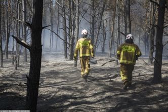 Pożary lasów kosztują krocie. Oszacowano tegoroczne straty