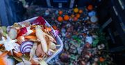 Krzyżówka dla miłośników ekologii. Co wiesz, co biodegradacji?