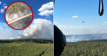 Druzgocący widok z Roztocza. Wielki pożar lasu nagrany z powietrza