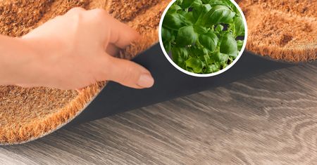Schowaj bazylię pod drzwiami. Nie spodziewasz się efektów
