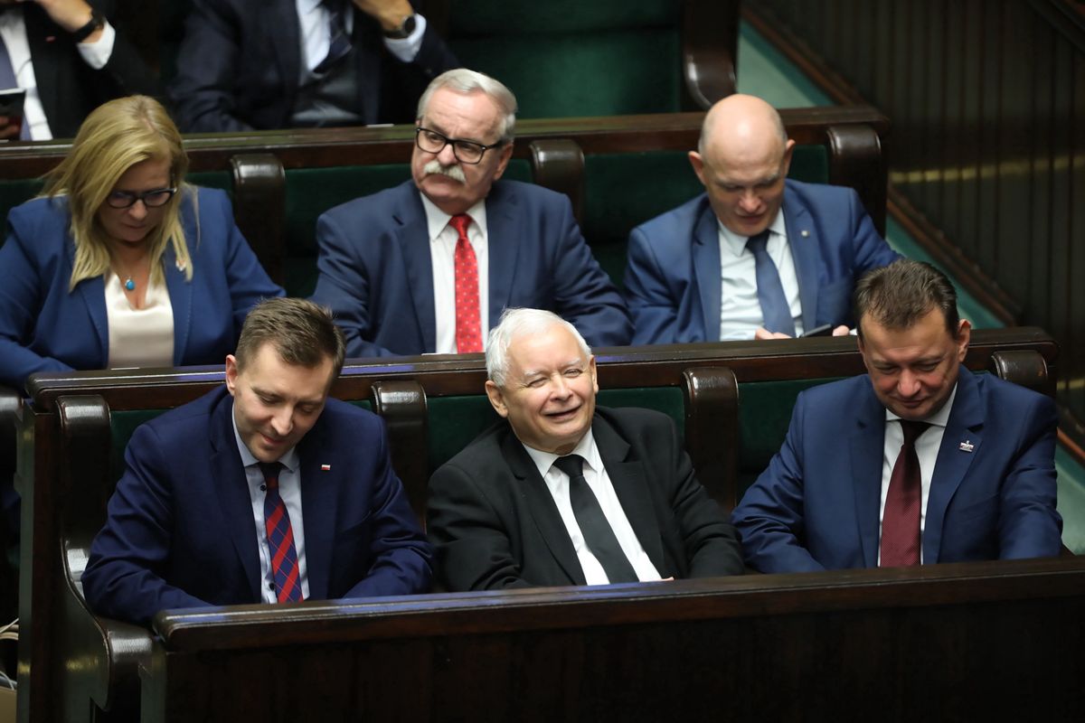 Piątka dla zwierząt. Sejm zagłosował nad nowelizacją ustawy o ochronie zwierząt