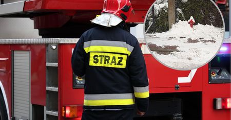 Strażacy apelują. "Nie utrudniajcie nam pracy"