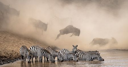 Prawie 100 tysięcy zgłoszeń. Zobacz 10 najlepszych zdjęć w konkursie Nat Geo