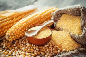 Mąka kukurydziana - składniki odżywcze, właściwości zdrowotne, zastosowanie, przepis na ciasto 
