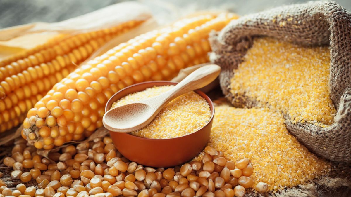 Mąka kukurydziana cieszy się coraz większą popularnością wśród konsumentów. W składzie mąki kukurydzianej nie ma glutenu, dlatego bez obaw mogą po nią sięgać osoby chorujące  na celiakię.